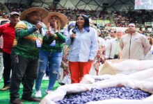 Gobierno venezolano anuncia «Plan de Sustitución Estratégica de Importaciones»