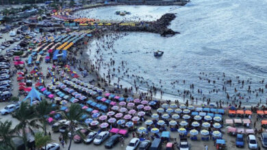 Presidenta (E) destacó la alegría de los Carnavales de Paz en cada rincón de Venezuela