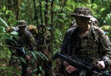 Términos, bárbaros y salvajes