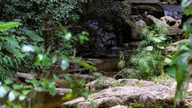 Activados en Venezuela más de 150 Comités de Cuencas Hidrográficas