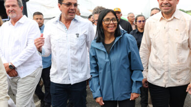 Presidenta (E) convoca a «Consenso de Unión Nacional» por encima de intereses partidistas