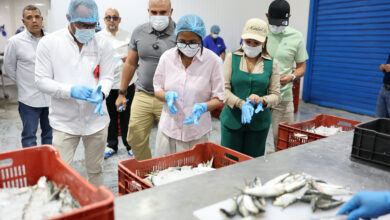 Programa «Venezuela Come Pescado» distribuirá 30 mil toneladas del rubro en Semana Santa