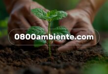 Venezuela activa página web para recibir denuncias ambientales