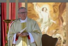 Secretario de Estado vaticano pide fin a la insensatez de la guerra