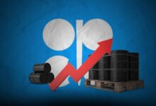 Opep aumentará producción de crudo a 206.000 barriles diarios