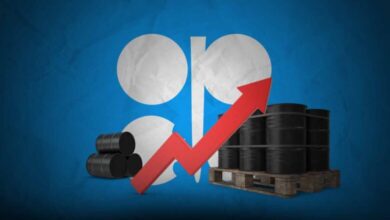 Opep aumentará producción de crudo a 206.000 barriles diarios