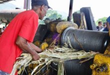 Comunas fortalecen arraigo cultural y tradiciones en Semana Santa desde sus territorios