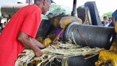 Comunas fortalecen arraigo cultural y tradiciones en Semana Santa desde sus territorios