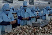 Venezuela azul lleva su "oferta exportable" a Seafood Expo Global 2026
