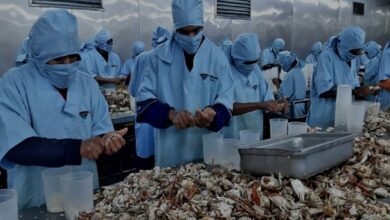 Venezuela azul lleva su "oferta exportable" a Seafood Expo Global 2026