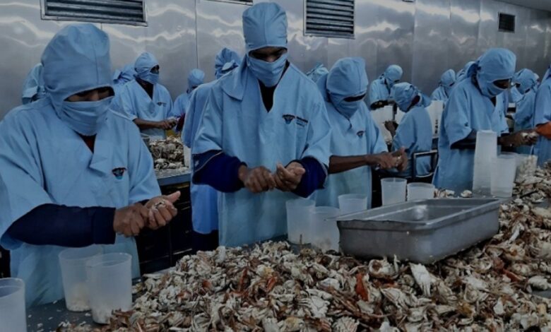 Venezuela azul lleva su "oferta exportable" a Seafood Expo Global 2026