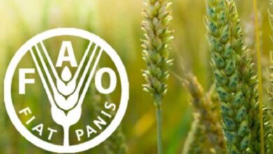 FAO alerta de catástrofe alimentaria por crisis en estrecho de Ormuz