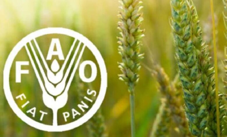 FAO alerta de catástrofe alimentaria por crisis en estrecho de Ormuz