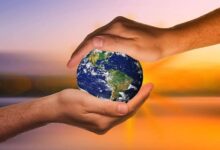 Día Internacional de la Tierra: un llamado a la protección del planeta