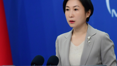 China saluda acuerdo de alto el fuego entre EEUU e Irán