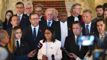 Mandataria (E): Venezuela está lista para diálogo y negociación directa para resolver la controversia territorial