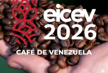 V Encuentro Internacional de Cafés de Especialidad Venezolano premiará excelencia de variedad arábica