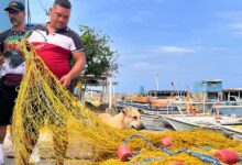 Fotografos venezolanos expondrán sus obras en concurso internacional a celebrarse en Portugal 