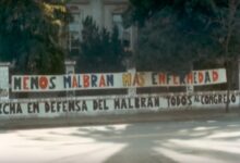 Recortes de Milei afectan investigación sobre hantavirus