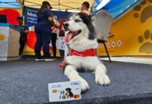 Banco del Tesoro revoluciona la Expo Mascotas 2026