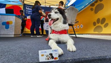 Banco del Tesoro revoluciona la Expo Mascotas 2026