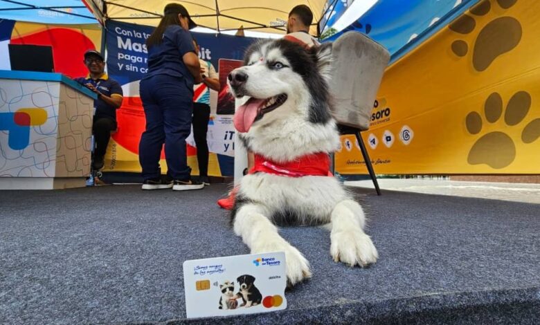 Banco del Tesoro revoluciona la Expo Mascotas 2026
