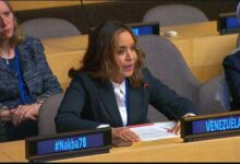 Venezuela en ONU: «La energía es clave para el desarrollo de las naciones»