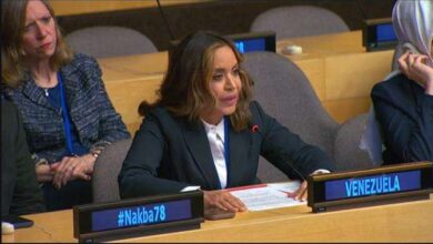 Venezuela en ONU: «La energía es clave para el desarrollo de las naciones»