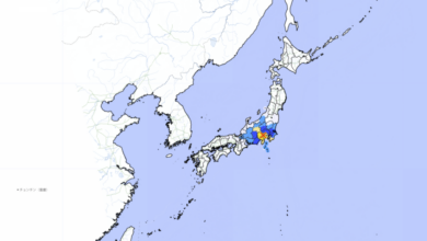Un potente terremoto con magnitud preliminar de 5,6 sacude a Japón
