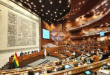 camara-de-diputados-de-bolivia-aprobo-ley-de-regulacion-de-estados-de-excepcion