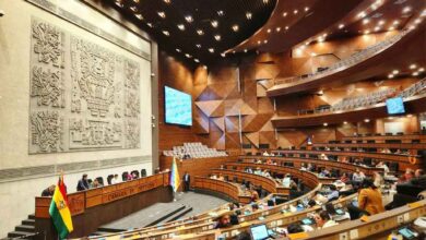 camara-de-diputados-de-bolivia-aprobo-ley-de-regulacion-de-estados-de-excepcion