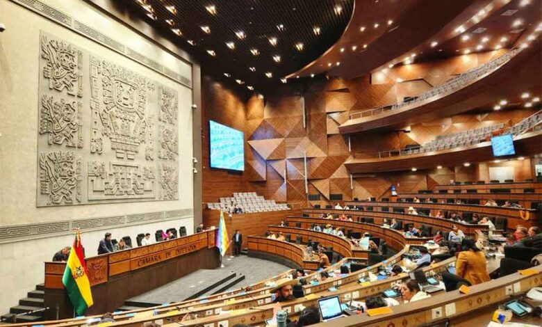 camara-de-diputados-de-bolivia-aprobo-ley-de-regulacion-de-estados-de-excepcion