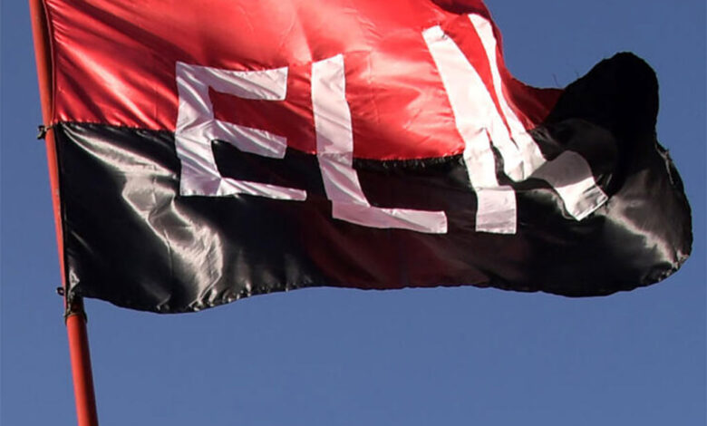 ELN anunció cese al fuego unilateral por balotaje en Colombia