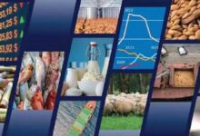 FAO valora perspectivas favorables en mercados mundiales de alimentos