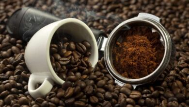 Escogen 51 muestras de café para fase nacional del Eicev 2026
