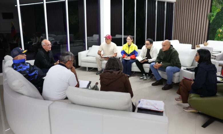 Presidenta (E) evaluó junto al gabinete políticas de protección para afectados por sismos