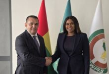 Venezuela y Guinea-Bisáu fortalecen agenda de cooperación bilateral