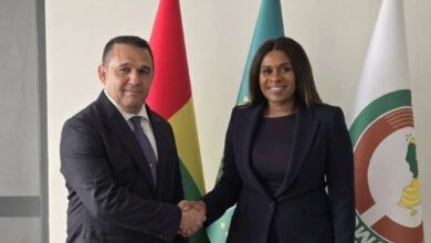 Venezuela y Guinea-Bisáu fortalecen agenda de cooperación bilateral