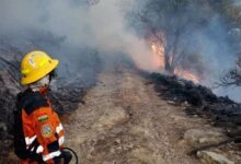 Bolivia declara desastre en San Lorenzo por avance de fuegos forestales