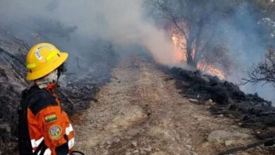 Bolivia declara desastre en San Lorenzo por avance de fuegos forestales