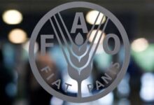 FAO reporta leve descenso del hambre global