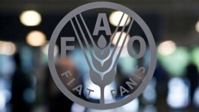 FAO reporta leve descenso del hambre global