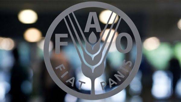 FAO reporta leve descenso del hambre global