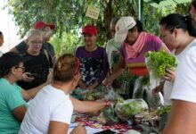 Comunas de Monagas impulsan el intercambio y la distribución directa de alimentos