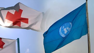 ONU y Cruz Roja piden restringir uso de armas autónomas