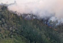 ABAE fortalece el monitoreo satelital para la prevención de incendios forestales en Venezuela