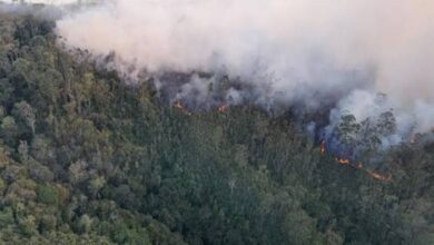 ABAE fortalece el monitoreo satelital para la prevención de incendios forestales en Venezuela
