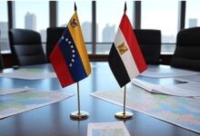 Venezuela y Egipto fortalecen cooperación bilateral