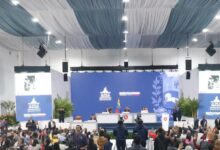 Parlamento venezolano aprueba Proyecto de Ley para Establecimiento de la Alianza Internacional de Grandes Felinos
