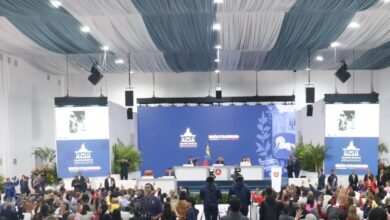 Parlamento venezolano aprueba Proyecto de Ley para Establecimiento de la Alianza Internacional de Grandes Felinos